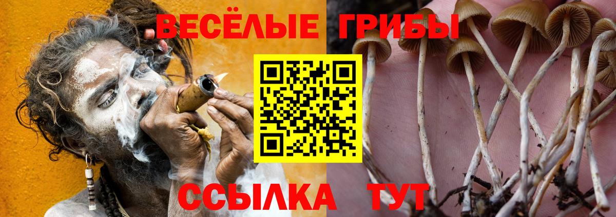 Галлюциногенные грибы ЛСД Чистополь