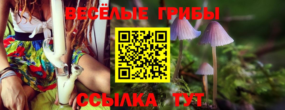 Чистополь  Псилоцибиновые грибы прущие грибы  Вход с VPN 